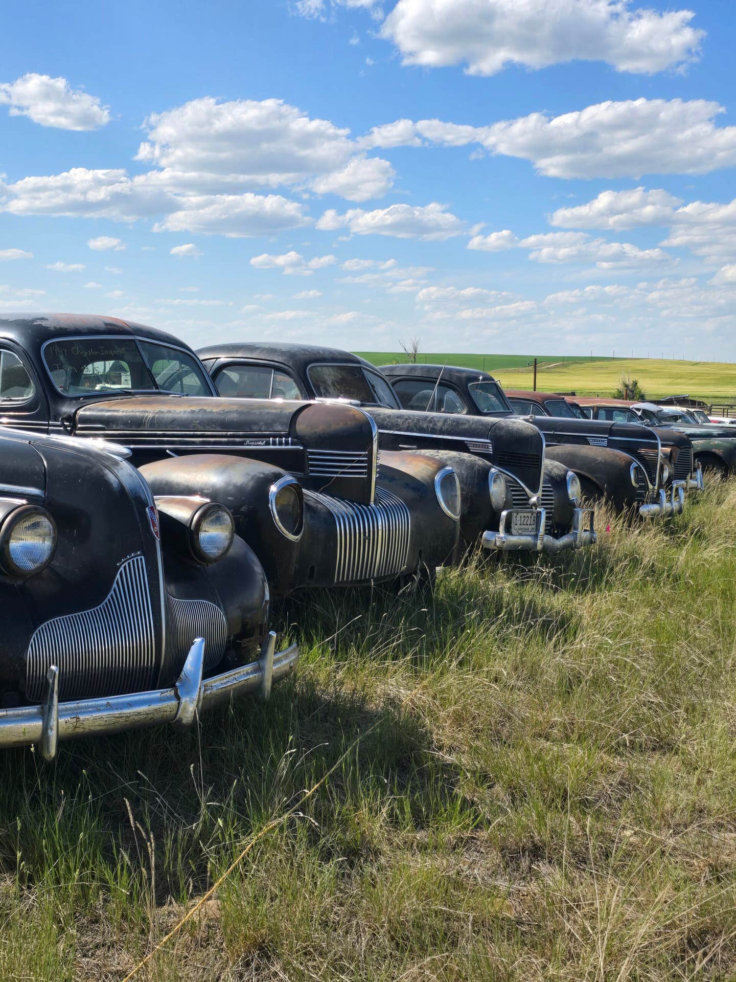 The Dielman Family Collection